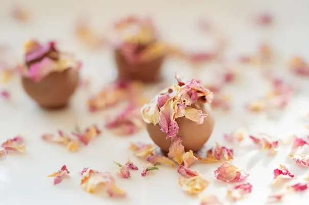 أندروميدا كازينو تطبيق أندرويد/آي أو إس